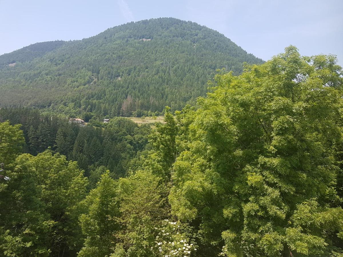 Appartamento Altipiano Pine 2 Bedollo Exteriér fotografie