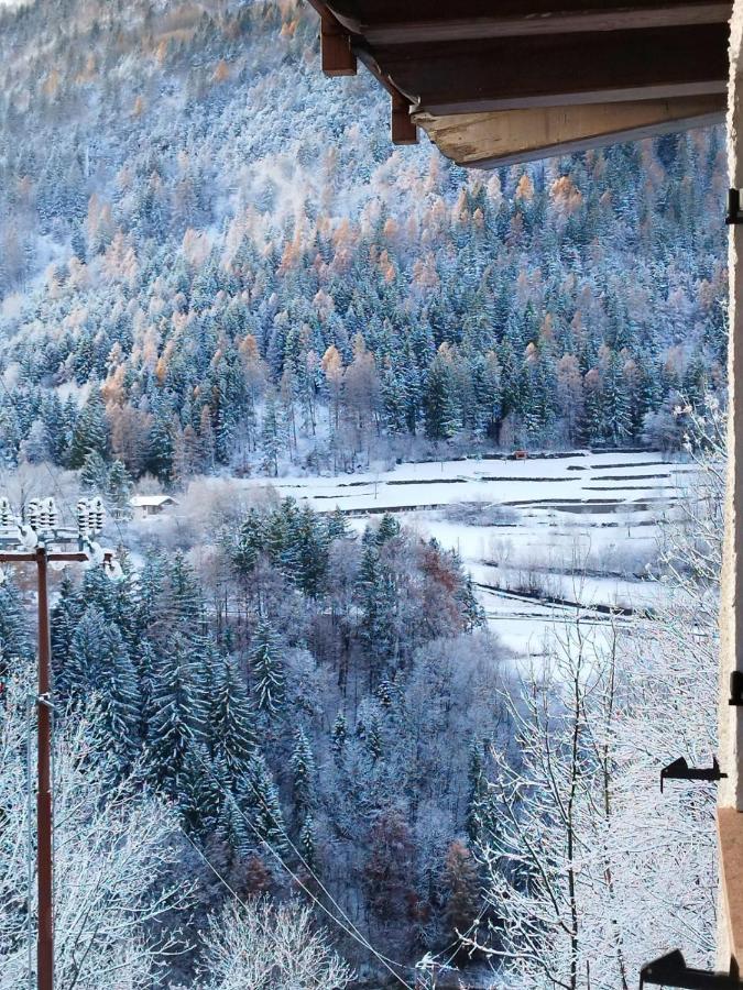 Appartamento Altipiano Pine 2 Bedollo Exteriér fotografie